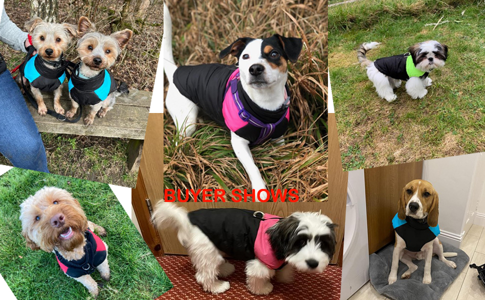 Теплий зимовий одяг для собак Idepet: куртка-мантія, водонепроникна, для маленьких, середніх та великих собак, котів (M, Рожевий)