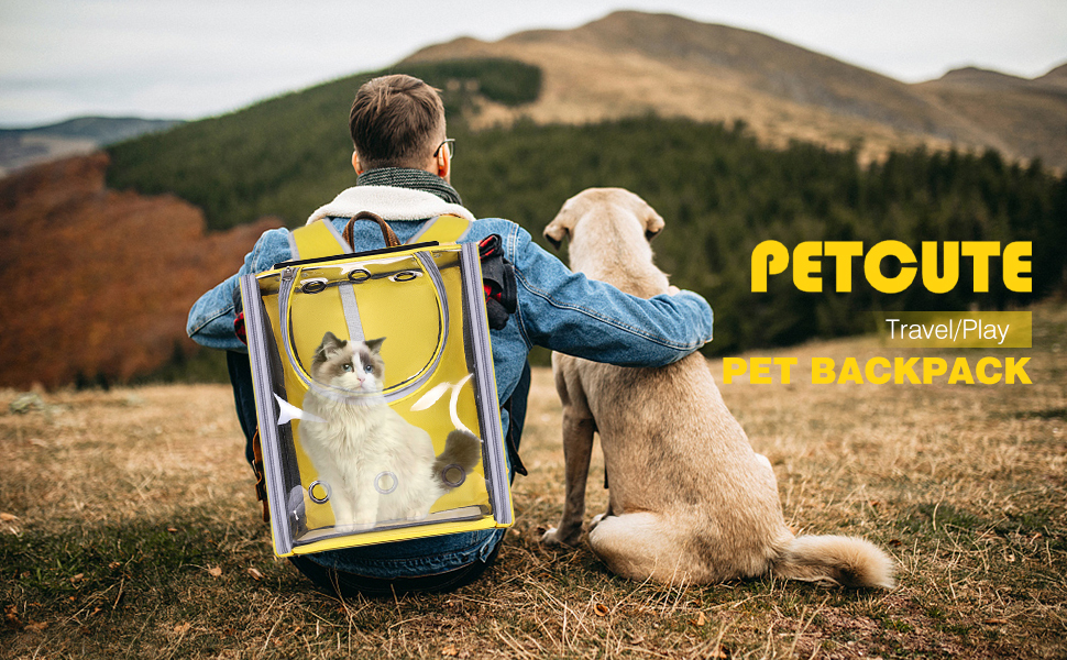 Рюкзак для собак та котів PETCUTE, дихаючий, прозорий, з матрацом, для подорожей, дозволений авіакомпаніями