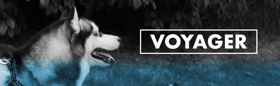 Шлейка для собак Voyager з відбиваючими смугами Best Pet Supplies - Міцна жилетка для собак без натягу з кільцем для повідка, дихаюча, блакитна, розмір M (Обхват грудей: 43-53 см)