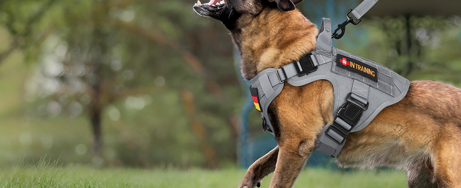 Шлейка для собак Rabbitgoo великих порід, без натягу, тактична з MOLLE, металеві пряжки, дихаюча, військова, регульована, з підкладкою, сіра, L (1 шт.)