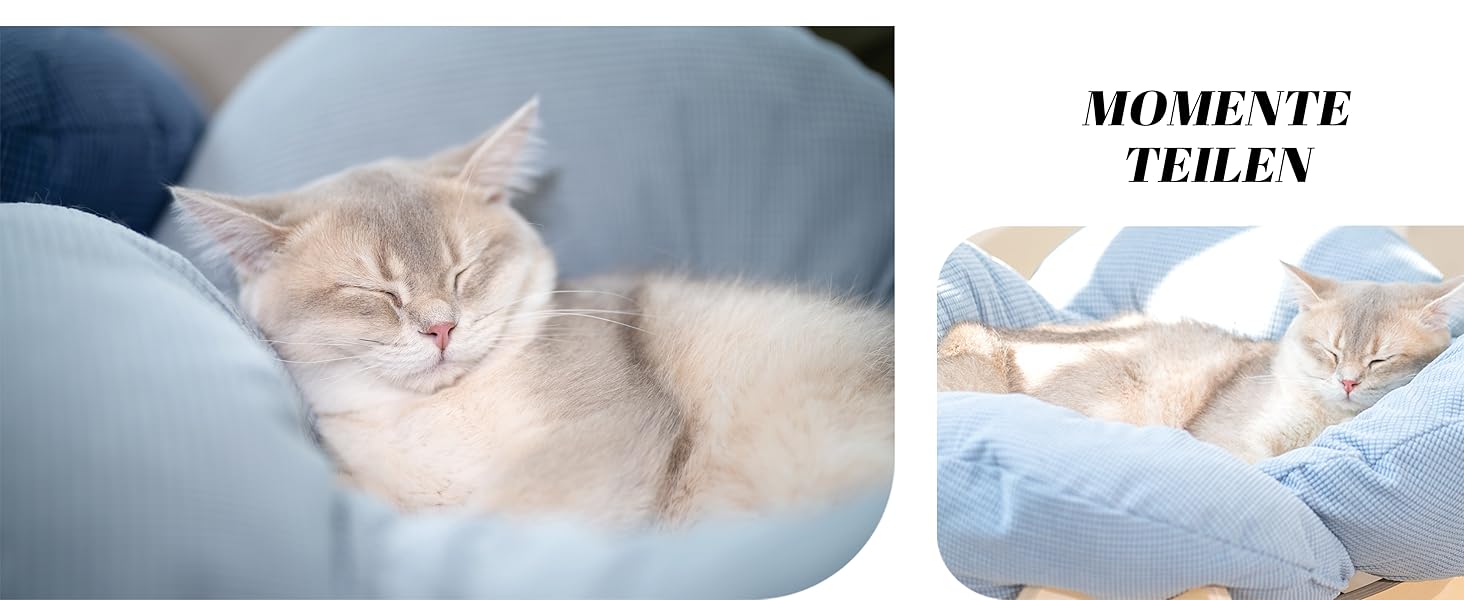 Кігтечка для котів CheerPals: зручне ліжко-стілець з м'яким подушками, 55х55 см, білий (світло-блакитний)