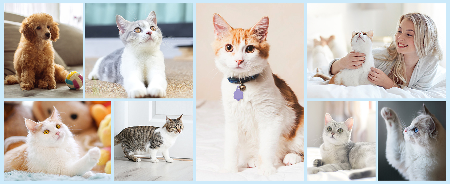 Триммер для обрізки кігтів собак з керамічним лезом - IPX7, USB, безпечний, тихий, чорний