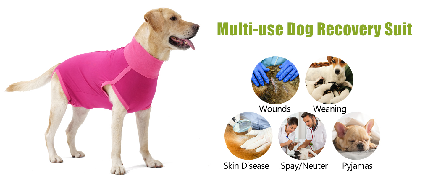 Комбінезон для собак після операцій Heywean – кастрація, стерилізація, післяопераційний одяг, сірий, L
