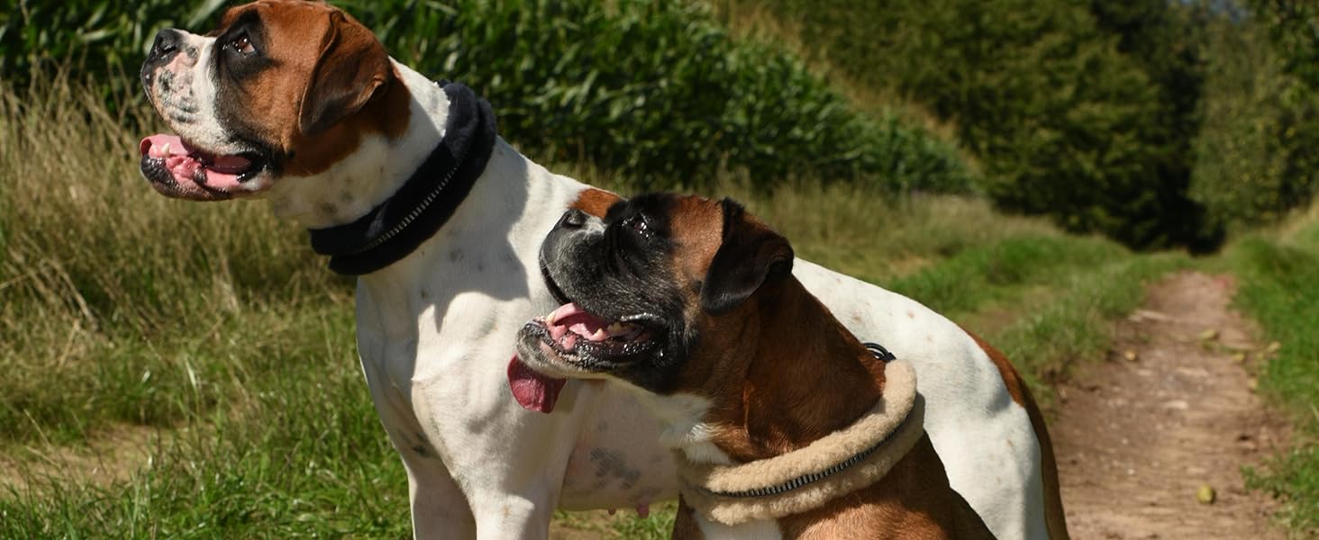 Інноваційний нашийник для собак CHRIS з ланолінової вовни, зменшує випадіння шерсті, з підкладкою, світловідбиваючий, регульований, для собак малих, середніх та великих порід, розміри M (35-45см), L (45-55см), XL (55-65см), колір антрацит