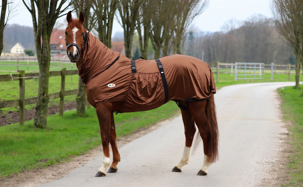 Екземерна ковдра для коней з нашолобником та захистом живота – ковдра від комах з дрібною сіткою, подвійний фронтальний замок та підв'язки для ніг – ковдра для коней для активного відпочинку у нічному блакитному кольорі – 125 см, нічний блакитний 125 см