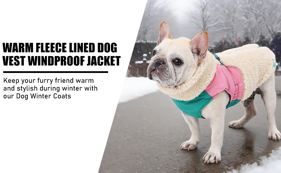 Зимовий теплий одяг для собак, куртка з флісовою підкладкою, вітронепроникна, з отвором для шлейки (Блакитний, S)