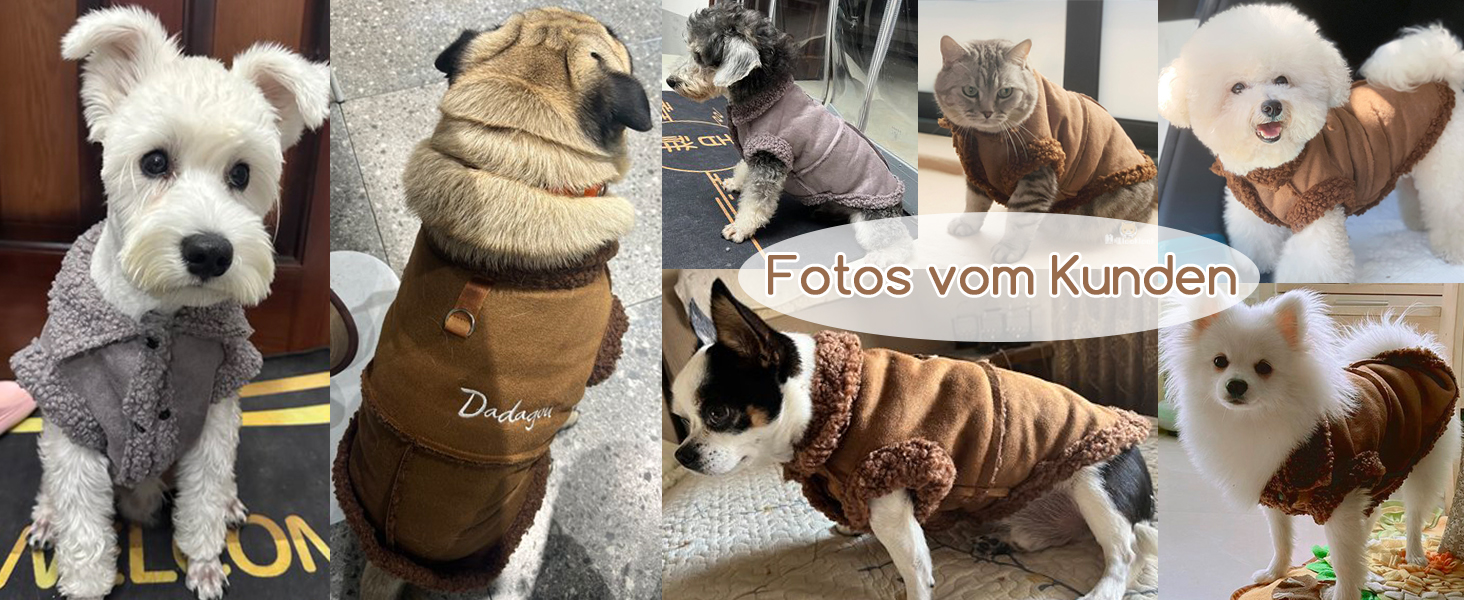 Зуена Теплий зимовий одяг для собак, флісова куртка для маленьких собак, теплий одяг для цуценят, м'який жилет для домашніх тварин з кільцем D, вітронепроникний одяг для холодної погоди для Чихуахуа, Йорка, сірий, XL