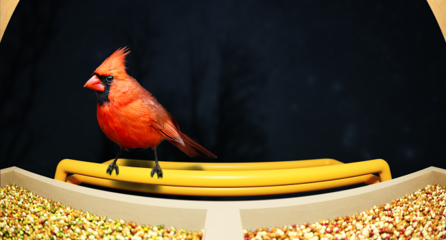 Birddy Оригінальна смарт годівниця для птахів із камерою, сонячна панель, міцний матеріал, GreenTough, з камерою спостереження, ІІ-ідентифікація, пряма трансляція