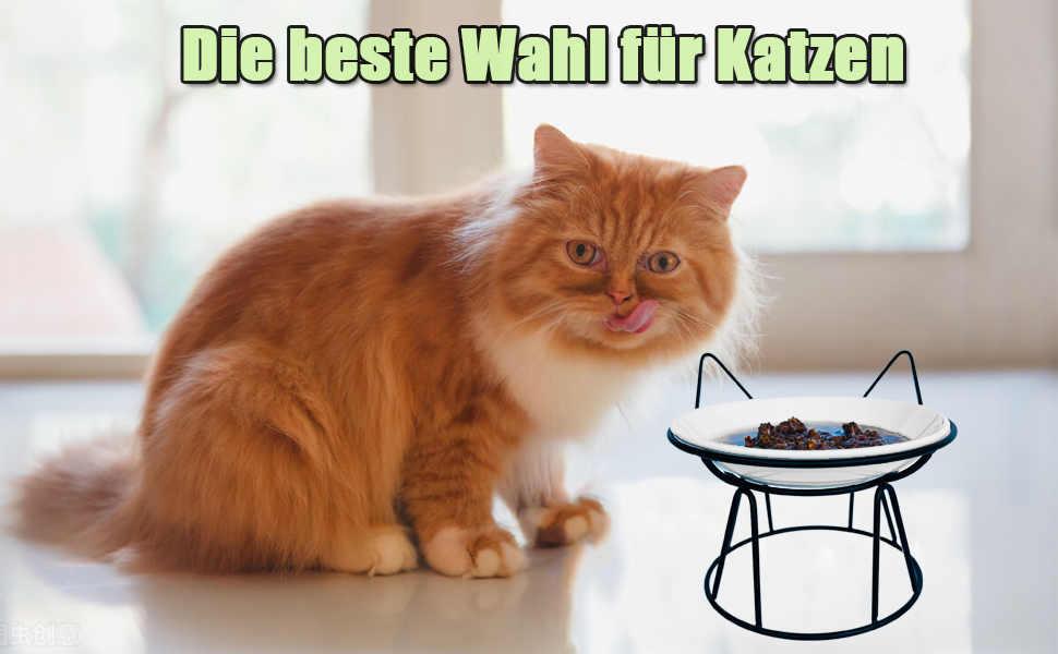 Котлові миски для котів, 2 шт. з підняттям, керамічні, з металевим підставкою, захист шиї, годівниця для котів