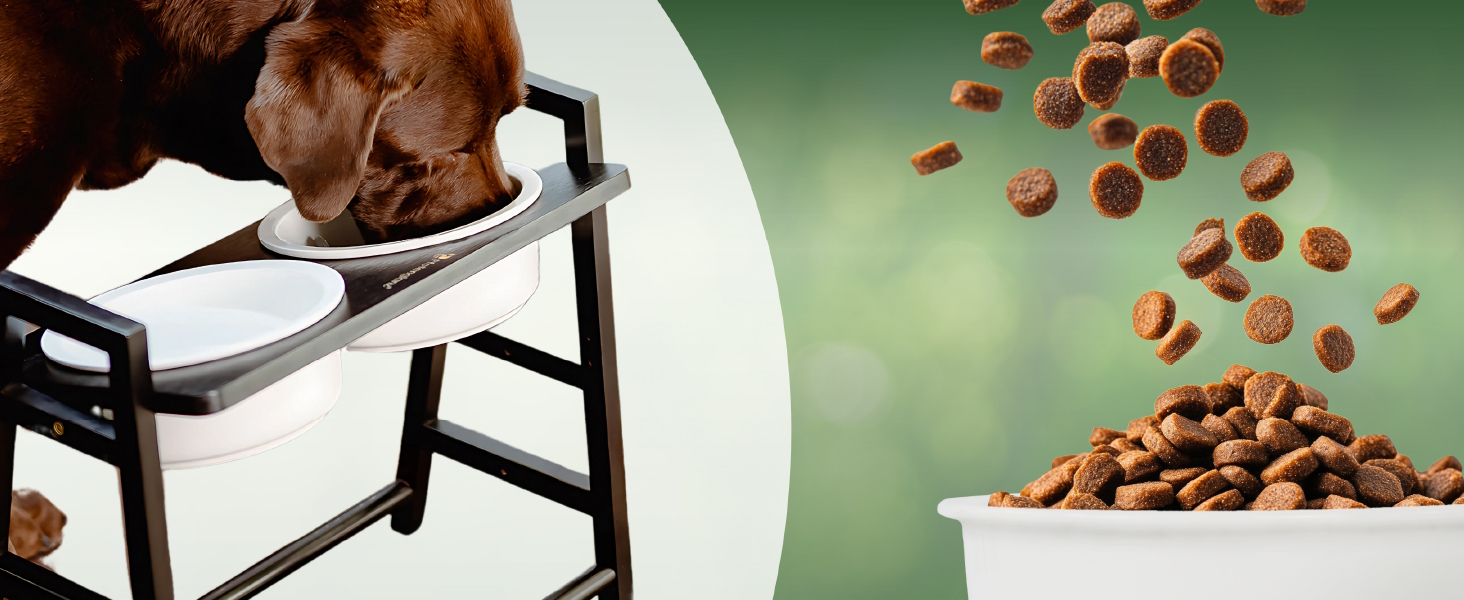 Керамічна годівниця для собак - велика миска для корму 1250 мл. Миска для їжі та води для собак та котів