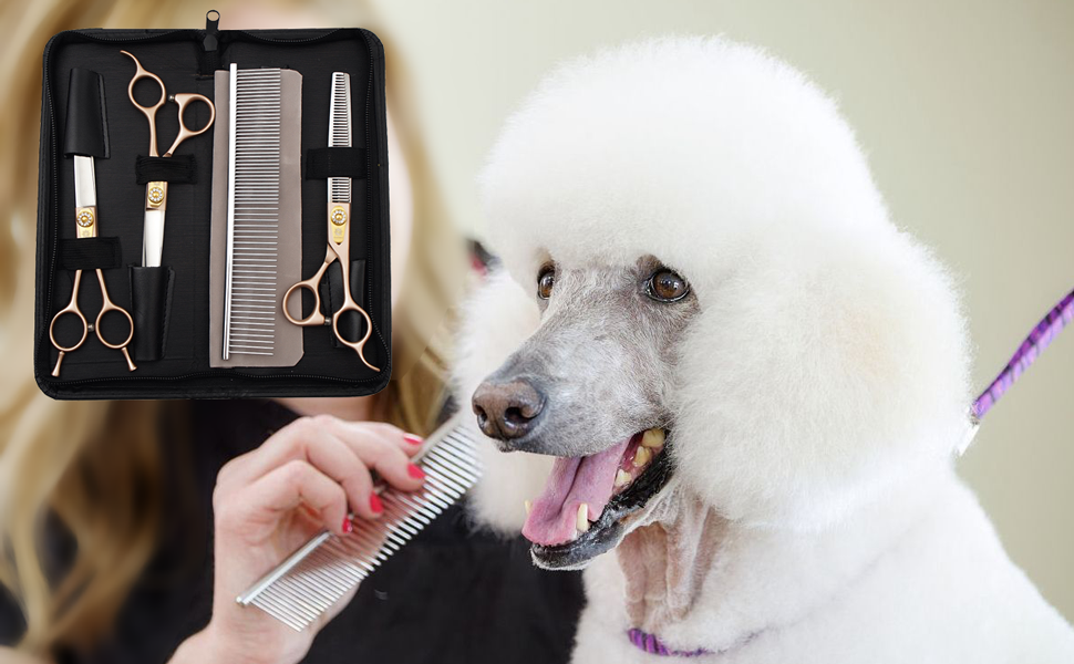 Професійний набір ножиць для грумінгу собак Dream Reach 7'' з японської сталі 440C (5 шт.)