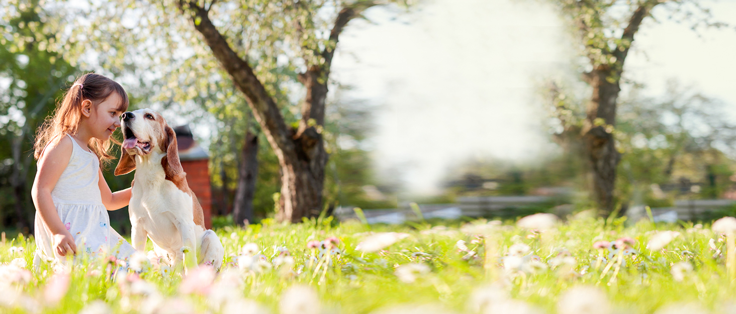 Пуловер для собак BINGPET з мотивом сніжинок, теплий, в'язаний, для собак та котів, зимовий одяг для тварин, розмір S