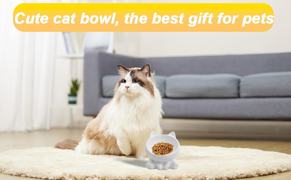 Миска для кота з кераміки, піднята, протиковзна, 15° нахил, для корму та води, підходить для котів та кошенят (біла)