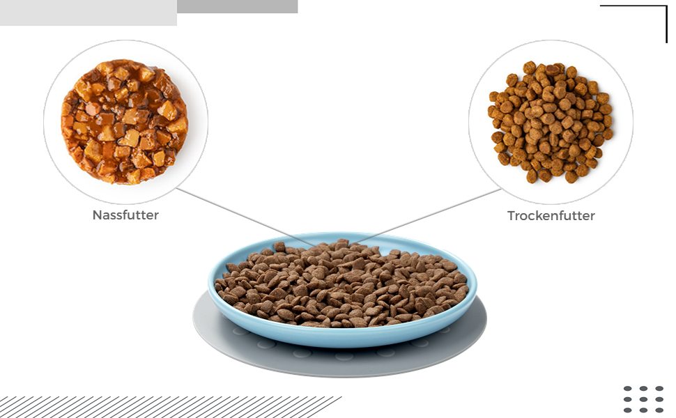Керамічні миски для котів, 3 шт. з антиковзними килимками, широкі та плоскі миски для котів та кошенят, білі (триколірні)