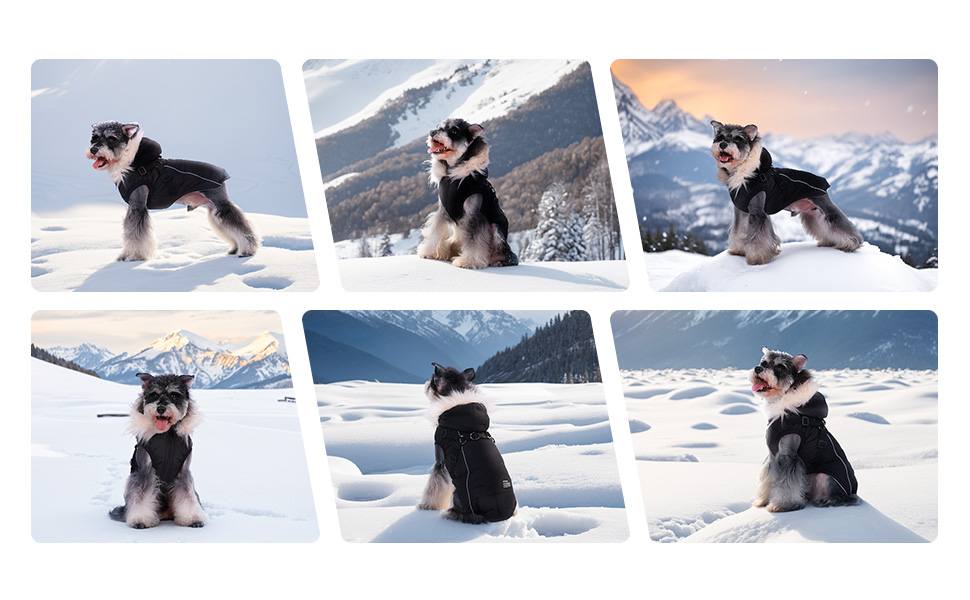 Теплий зимовий одяг для собак: курка з начосом, світловідбиваючими смугами та двома D-кільцями. Розмір M, чорний колір.