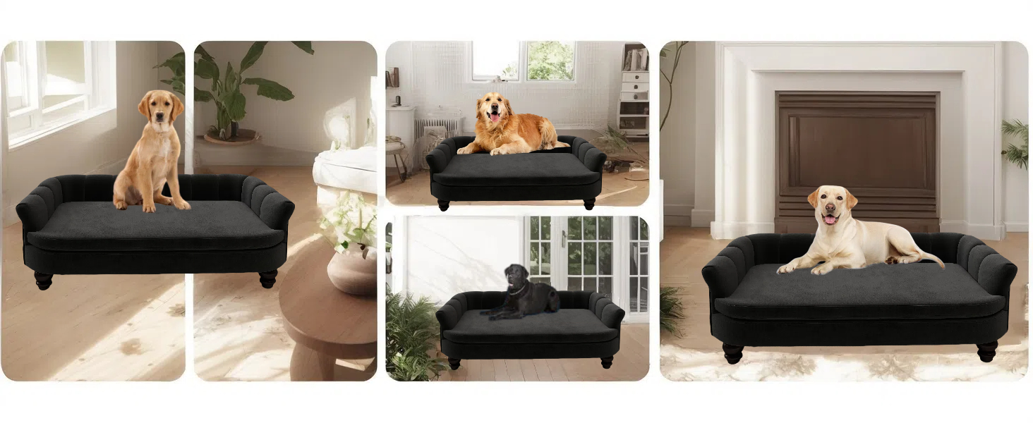 Диванчик для собак SEYNAR: зручний лежак для великих та середніх собак, м'яке велюрове покриття, міцні собачі меблі для вітальні, миється, чорний колір