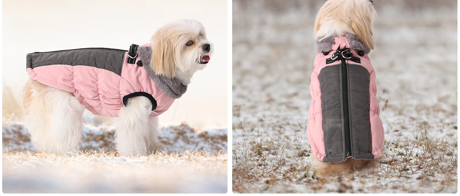 Зимовий теплий водонепроникний теплий одяг для собак Poseca: куртка, жилет, одяг для собак, шлейка, куртка з відбиваючими елементами, еластичний одяг для собак (XS, блакитний)