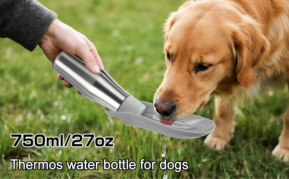 Водяна пляшка для собак на прогулянці 750 мл - не протікає, з нержавіючої сталі, з подвійними стінками, ізольована, сіра