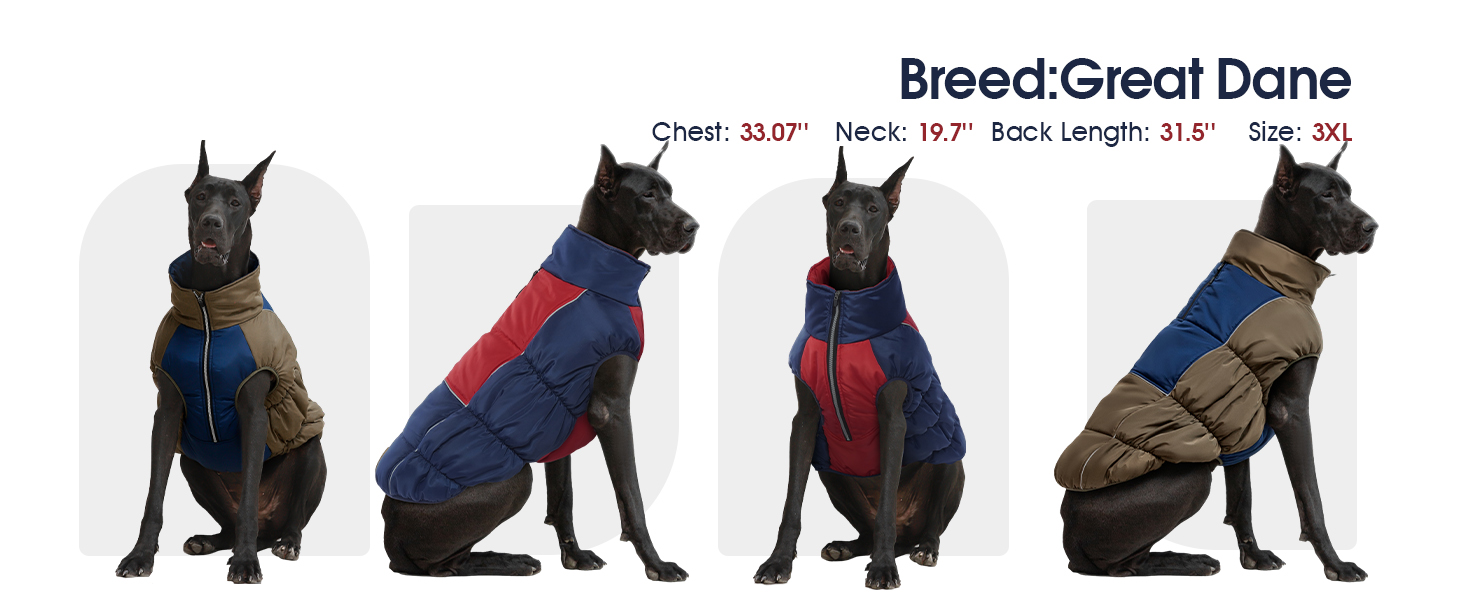 Зимові куртки та зимові пальта для собак IECOii, тепла зимова куртка для собак, пальта для собак, зимові пальта для собак, куртка-жилет для собак, теплий зимовий одяг для собак, водонепроникні куртки для собак, зелений колір, розмір M (обхват грудей: 53 см), армійсько-зелений