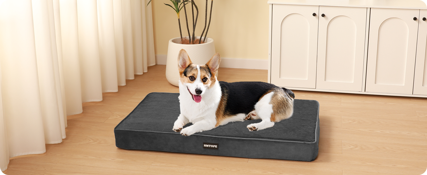 Ортопедичне ліжко для собак HMTOPE, 9 см товщина, для середніх собак, знімний та пральний килимок, неслизьке дно, водонепроникне внутрішнє покриття, 91 см, темно-сірий, розмір 91 x 56 x 9 см