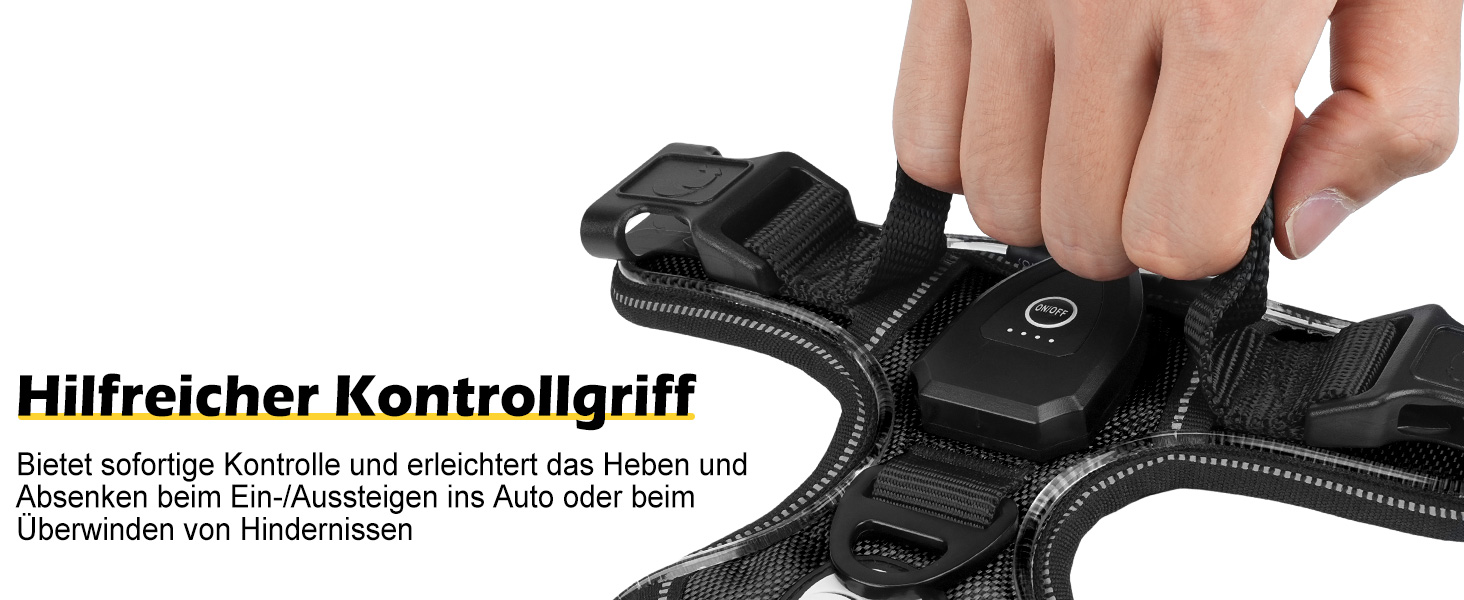 Світловідбиваючий нашийник для собак Joytale, акумуляторний, для середніх собак, без натягування, з LED, з ручкою, регульований, для нічних прогулянок, зелений, M. Зелений (XL (1 шт.), чорно-синій)