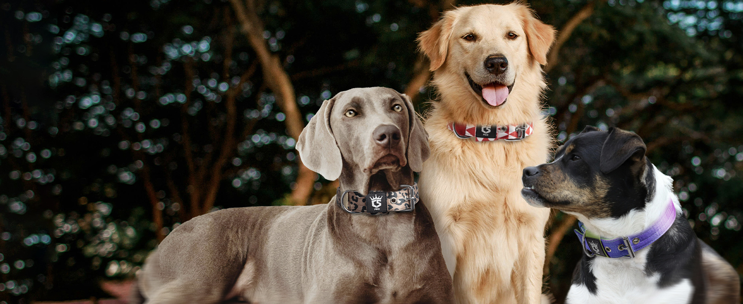 Тактичне обгортання для собак TSPRO, міцне обгортання з металевою застібкою, 3,8 см, регульоване та товсте для собак середніх та великих порід (зелене M), розмір M-H (регульоване 40-48 см), зелене