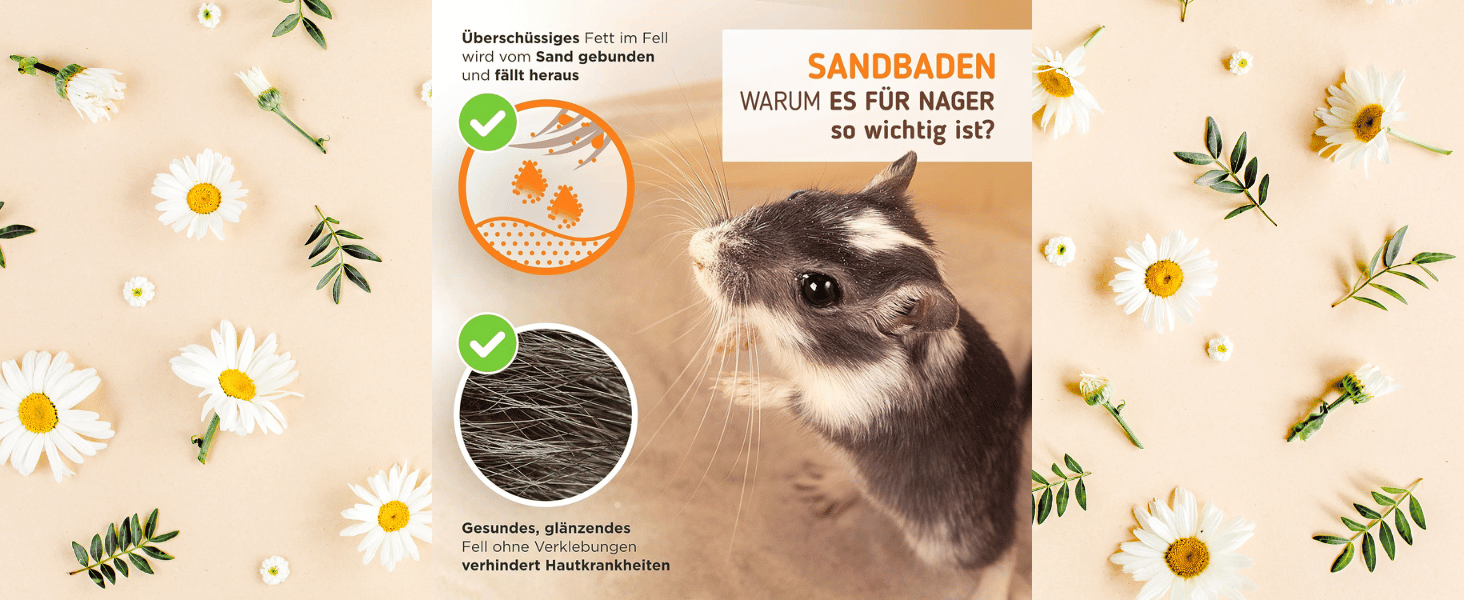 Преміум пісочник для хом'яків, мишей, щурів та дегу Nagergaleria® з унікальною системою збору бруду