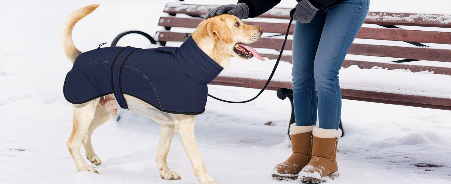 Водонепроникний зимовий одяг для собак Dotoner, теплий, з підкладкою з флісу, для великих собак XL, морський колір