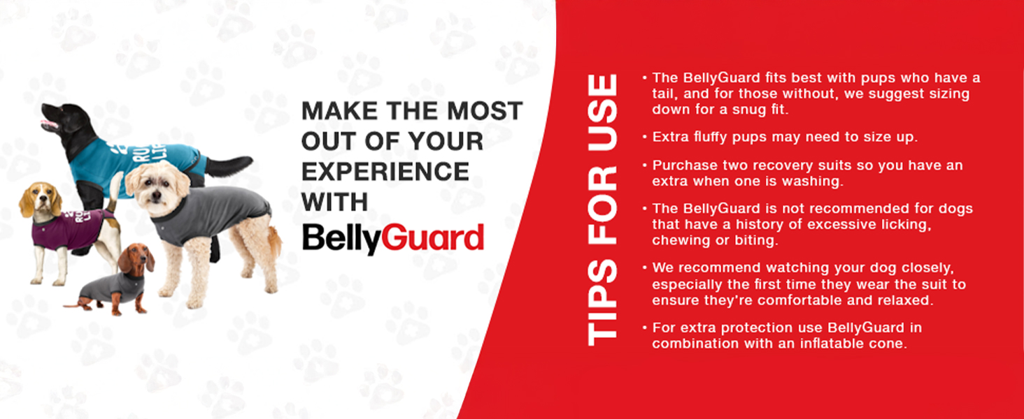 Захисний боді для собак після операції (кастрація/стерилізація), альтернатива нашийнику, сірий, 2XL