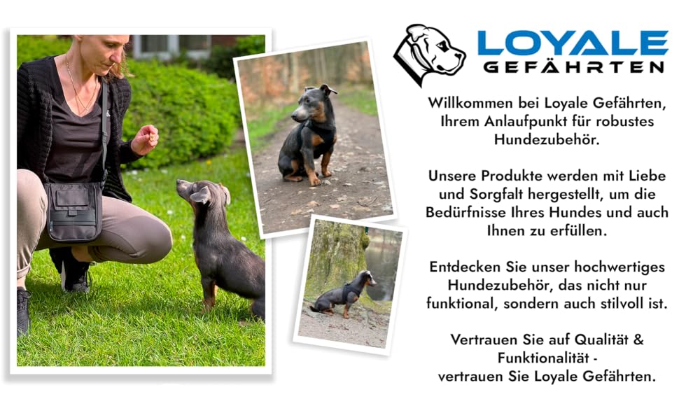 Сумка для ласощів для собак з магнітним закриттям та диспенсер для пакетів для прибирання – ідеальна для тренувань та прогулянок