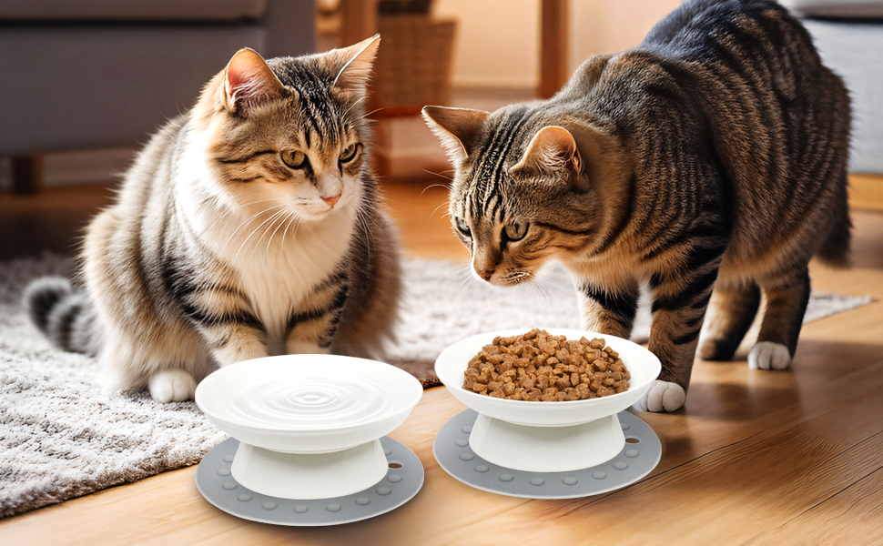 Набори мисок для котів Katzennapf (2 шт) з кераміки, підняті миски для котів, миски для води та корму