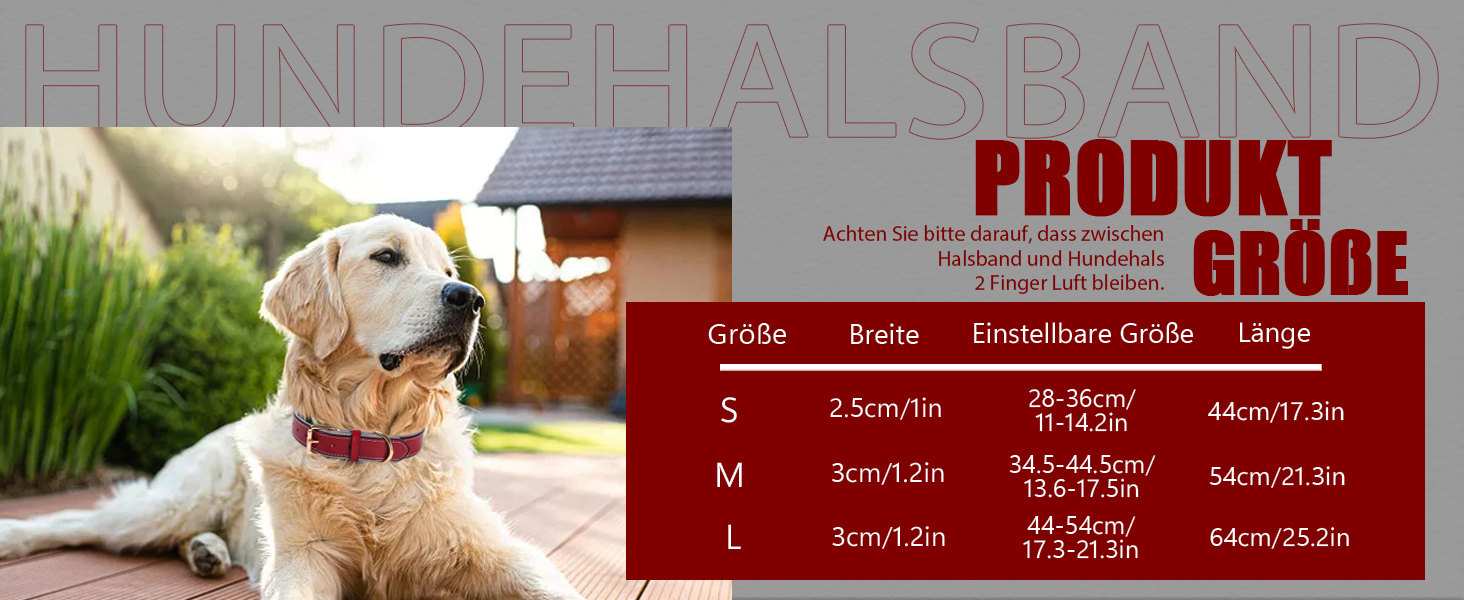 Нашийник для собак з червоної шкіри - якісний, м'який, з відбиваючими елементами та золотистою блискавкою для собак малих, середніх та великих порід