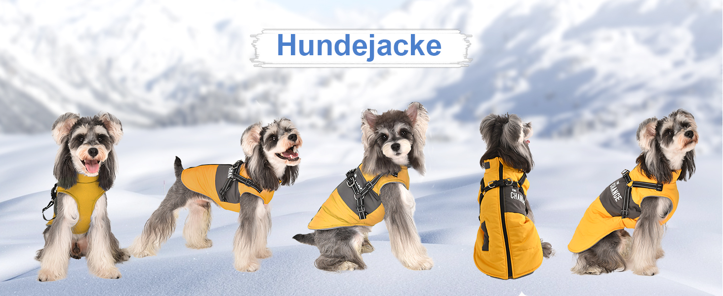 Теплий зимовий одяг для собак: куртка, жилет, плащ для маленьких та середніх порід, рожевий