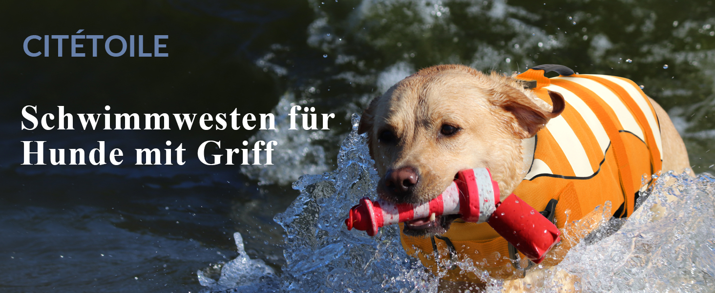 Жилет рятувальний для собак, блакитний XXL, регульований, для малих, середніх та великих собак