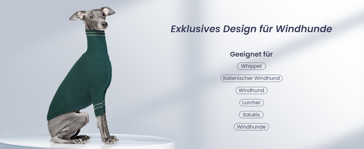 Светр для грейхаунда, теплий костюм для віндхаунда, костюм з високим коміром для маленьких собак, блакитний, розмір M