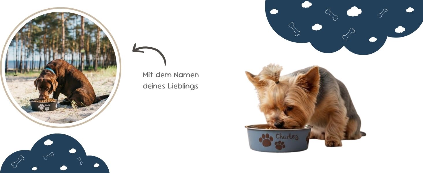 Миска для собак з нержавіючої сталі Petslino Hellblau XL, 2200 мл, з гравіюванням, антиковзаюча, для великих собак