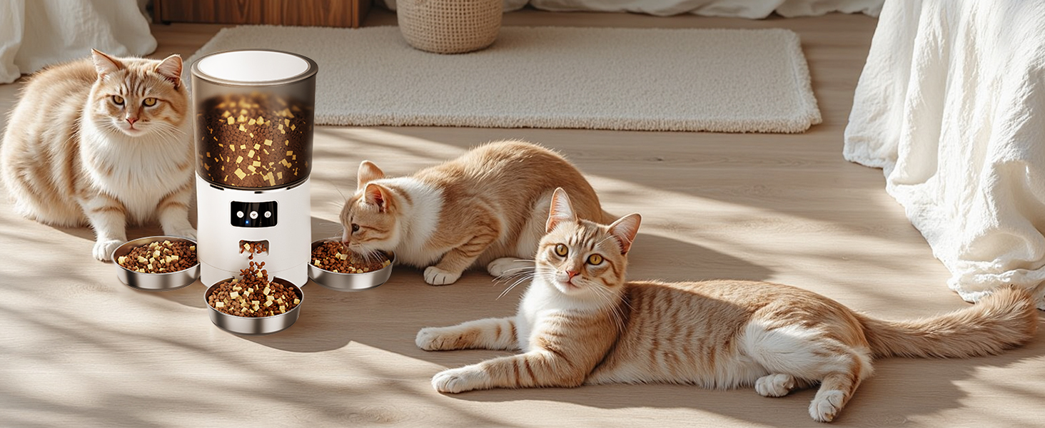 Автоматичний годівниця для котів з Wi-Fi та таймером, 6 л / 25 чашок, 3 миски, 3 пакети силікагелю, система проти застрягання, 2.4G Wi-Fi, запис голосу 10 секунд, чорний