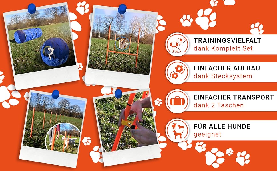 Набір для дресирування собак PfotenGUT® Agility Set [11 предметів] - універсальний набір для аджиліті з тунелем, слаломом та іншим обладнанням для тренування та спорту з собаками - з аксесуарами та сумкою для транспортування (Великий)