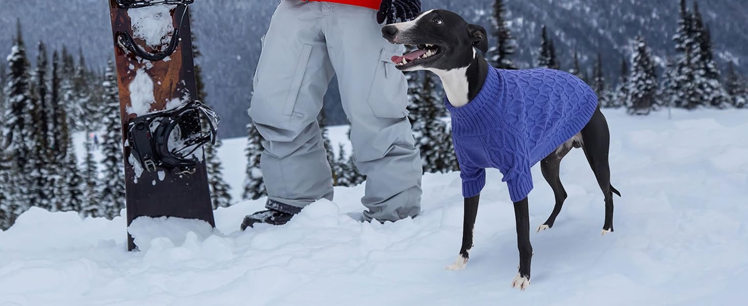 Светр для собак Queenmore, теплий та еластичний, для такс, мопсів, грейхаундів, сірий, розмір M