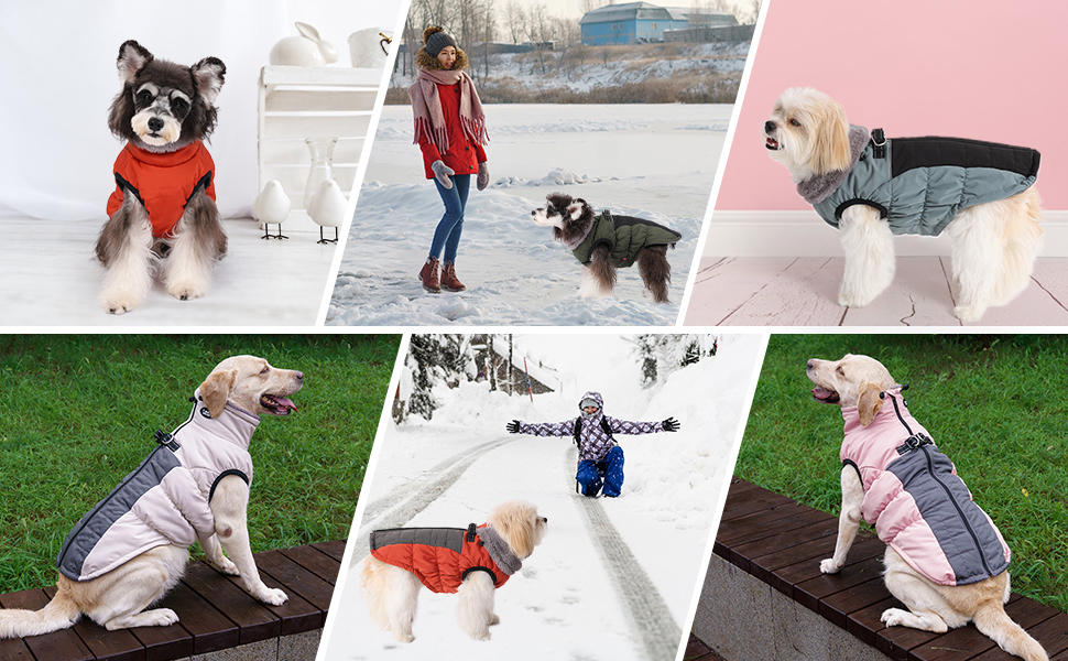 Зимовий теплий водонепроникний теплий одяг для собак Poseca: куртка, жилет, одяг для собак, шлейка, куртка з відбиваючими елементами, еластичний одяг для собак (XS, блакитний)
