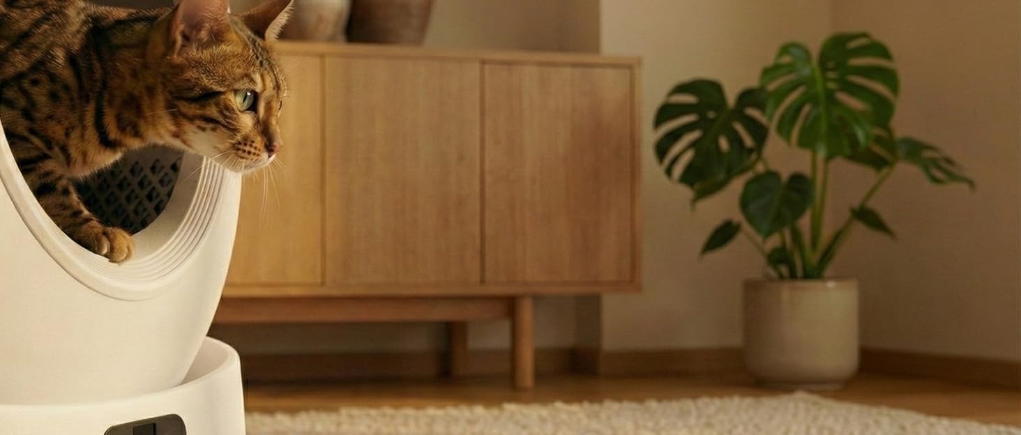 Автоматичний годівник для котів та собак Zedar A600 з контролем через APP, 6 літрів, нержавіюча сталь, чорний