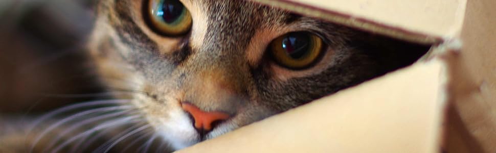 Кігтеточка Catit Kratzpappe Lounge S-подібної форми з картону та котячою м'ятою