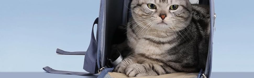 Рюкзак для кота з сіткою, портативний та складаний, переноска для домашніх тварин, дихаючий та складаний рюкзак для домашніх тварин, з прозорим вікном, для тварин до 6,5 кг