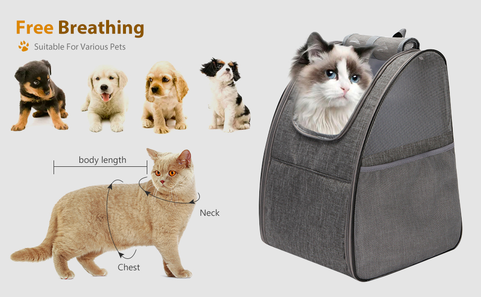 Рюкзак-переноска для кота/собаки PETCUTE: зручна та легка переноска для маленьких тварин. Зелений колір. Знімний килимок з флісу для прогулянок на природі.