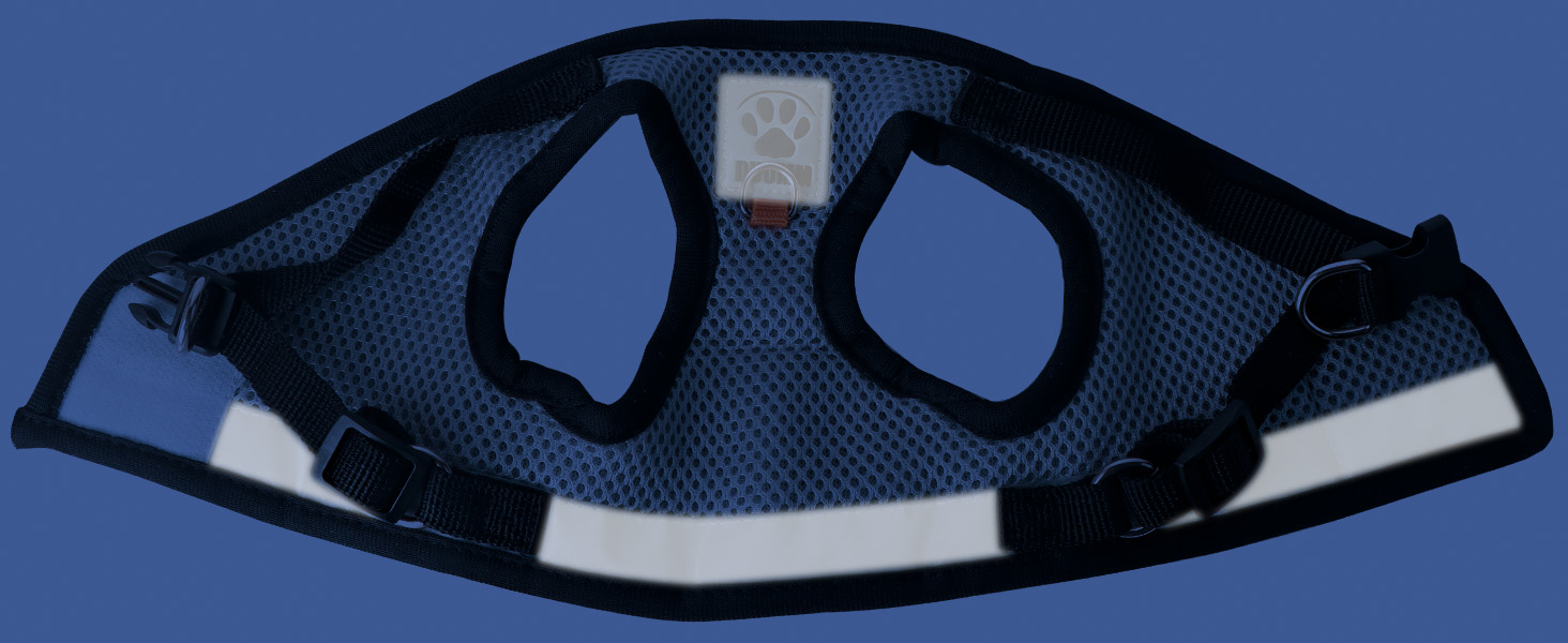 Нашийник для котів Bindokun з повідком, анти-вислизання, комплект, розмір M, сірий