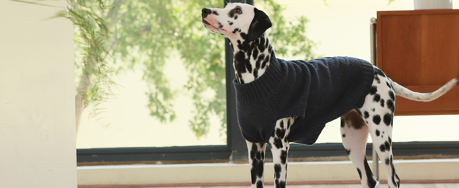 Пуловер для собак IECOii Great Dane, XXXXL, великі породи, теплий зимовий пуловер для собак, зелений, 5XL XXXXX-Large Armygreen