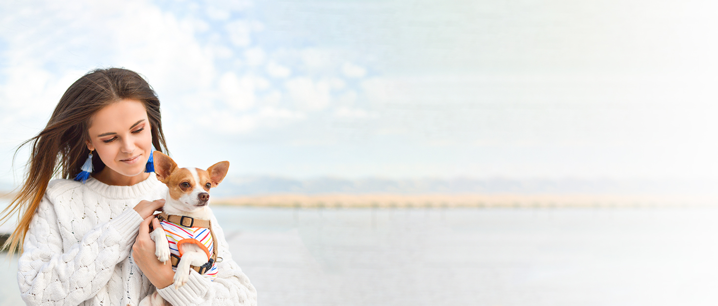 Сумка-переноска для котів, собак, цуценят, дихаюча та складана, для подорожей, на плече, ручна сумка для маленьких тварин, вантажопідйомність до 3 кг (маленька, бежева)