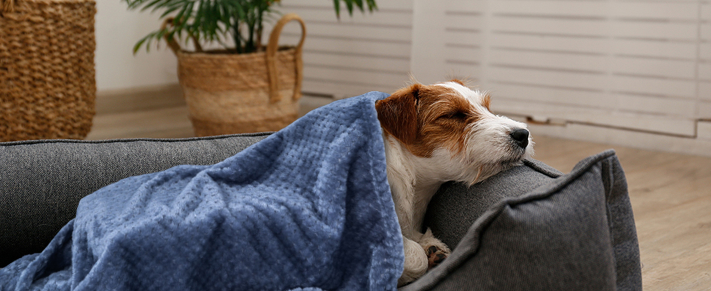 SLSON 2 шт. ковдри для собак та котів, м'які двосторонні ковдри для домашніх тварин, підійдуть для диванів, стільців, авто, подорожей. Теплі, машинне прання, 70x100 см (світло-жовтий та чорно-сірий)