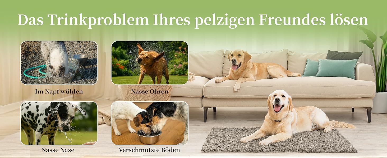 Миска для собак Nayelf 3L без обливання, з нержавіючої сталі 304, з антиковзним дном, для великих та середніх собак, придатна для миття в посудомийній машині