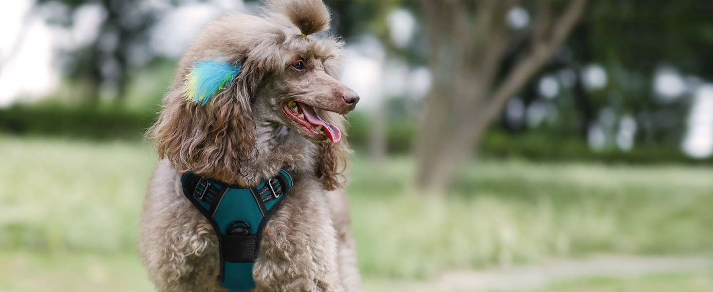 Нашийник для собак Rabbitgoo середнього розміру, анти-тяга, регульований, для великих собак, дихаючий, з світловідбиваючими смугами, безпечний, темно-зелений M (1 шт.)
